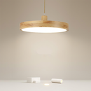 Modern Living Room Wooden Ceiling Hanging Light