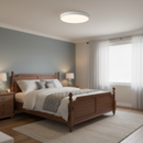 Minimalist Colorful Energy Efficient Flush Mount LED Ceiling Light