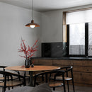 Modern Brown Iron Kitchen Pendant Light For Living Room