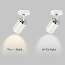 Minimalism Black and White Spotlight Ceiling Light