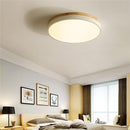 Modern LED Flush Mount Ceiling Light