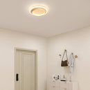Art Deco Acrylic LED Ceiling Lights For Living Room