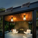 IP65 Vintage Outdoor Ceiling Lights in Black