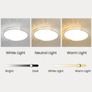 Modern Iron LED Ceiling Lights For Living Room