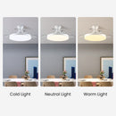 Simple Low Profile Bedroom Ceiling Fan With LED Light