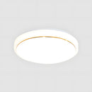 Sleek Round LED Ceiling Light for Modern Living Rooms