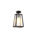 IP65 Vintage Outdoor Ceiling Lights in Black