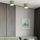 Set of 2 Small Flush Ceiling Lighting Macaron Finish Ceiling Lamp for hallway
