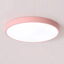 Energy Efficient LED Flush Ceiling Lights for Bedroom and Living Room