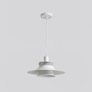 Modern Black Aluminum Art Pendant Light