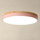 Modern LED Flush Mount Ceiling Light