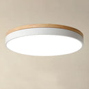 Modern LED Flush Mount Ceiling Light