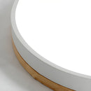 Modern LED Flush Mount Ceiling Light