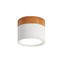 Set of 2 Small Flush Ceiling Lighting Macaron Finish Ceiling Lamp for hallway