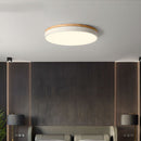 Modern LED Flush Mount Ceiling Light
