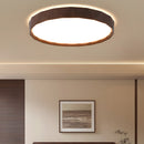 Vintage led ceiling lights for living room