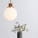 Glass Globe Splendor Pendant Light