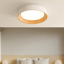 Modern Simple LED Ceiling Light