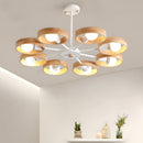 Modern Eco-friendly Ceiling Lamp For Living Room