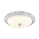 Dome Flush Mounted LED Ceiling Light