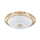 Dome Flush Mounted LED Ceiling Light