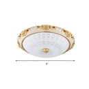 Dome Flush Mounted LED Ceiling Light