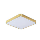 Chic Gold Iron LED Bedroom Ceiling Lights