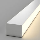 Modern Linear LED Ceiling Light for Hallway