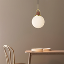 Glass Globe Splendor Pendant Light