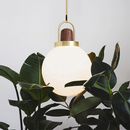 Glass Globe Splendor Pendant Light