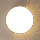 Modern Iron LED Ceiling Lights For Living Room