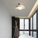 Modern Nordic Minimalist Eco-friendly Ceiling Light