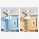 Nordic Modern Simple Flush Ceiling Fan With LED Lighting