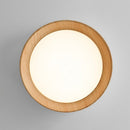 Modern Simple LED Ceiling Light