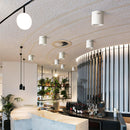 Contemporary Simple LED Round Ceiling Lights