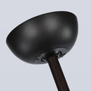 Coffee Glass Ceiling Fans With Lights
