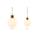 Glass Globe Splendor Pendant Light