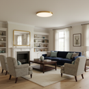 Minimalist Colorful Energy Efficient Flush Mount LED Ceiling Light