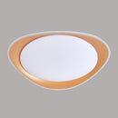 Modern Geometric Dimmable Iron Living Room LED Ceiling Light