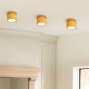 Set of 2 Small Flush Ceiling Lighting Macaron Finish Ceiling Lamp for hallway