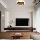 Art Deco Acrylic LED Ceiling Lights For Living Room