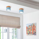 Set of 2 Small Flush Ceiling Lighting Macaron Finish Ceiling Lamp for hallway