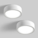 Set of 2 Modern hallway flush ceiling mount light fixtures