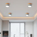 Set of 2 Small Flush Ceiling Lighting Macaron Finish Ceiling Lamp for hallway
