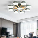 Contemporary Acrylic Bedroom Ceiling Light