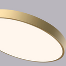 Energy Efficient LED Flush Ceiling Lights for Bedroom and Living Room