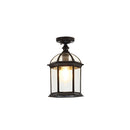 IP65 Vintage Outdoor Ceiling Lights in Black