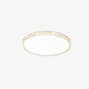 Minimalist Acrylic LED Ceiling Lights for Bedroom Living Room