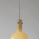 Minimalism Glass Flower Shape Pendant Light