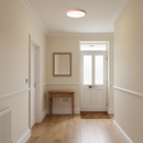 Minimalist Colorful Energy Efficient Flush Mount LED Ceiling Light